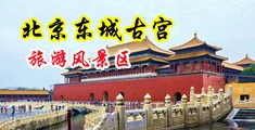 极品少妇揉胸喷水高潮视频网站在线观看免费中国北京-东城古宫旅游风景区